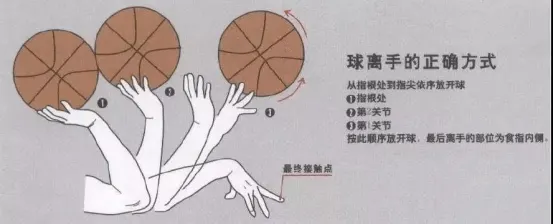 为什么球员必须同时具备耐力、速度和动作幅度？